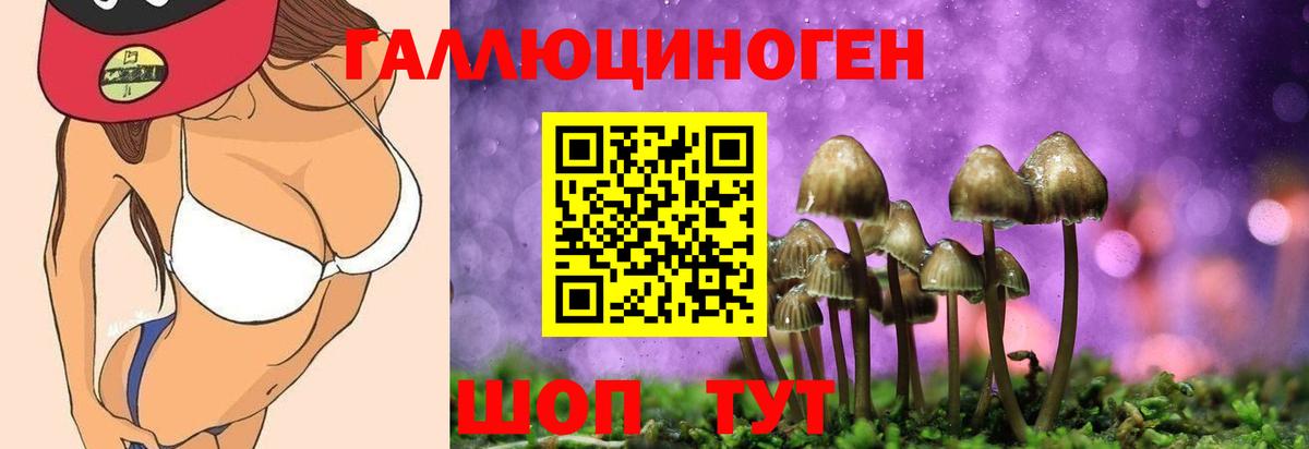 Псилоцибиновые грибы Magic Shrooms  Вход с VPN  Ухта 